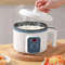 Multifunction Electric Hot Pot And Rice Cooker For Small Households 1