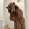 Capybara Cosplay Pajama Set With Robe And Accessories 3