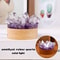 Natural Crystal Point Lamp With LED Light For Home Decor And Energy Display 6