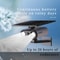 Outdoor Solar Motion Sensor Light With Waterproof IP65 And MultiColor LED Options 2