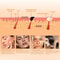 High Frequency Facial Wand With Screen Display Neon Electro Therapy For Wrinkle And Acne Care 1