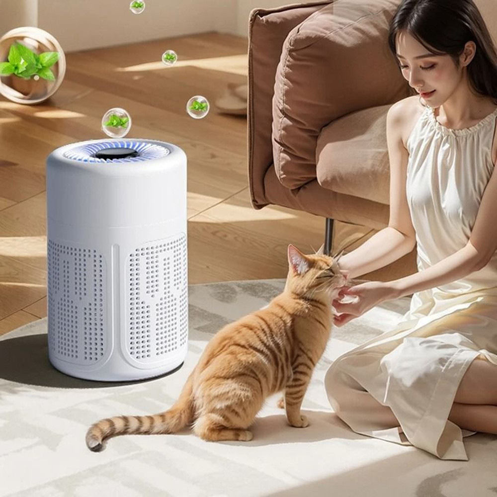 Desktop Air Purifier With HEPA Filter 4