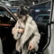 Oversized Faux Fur Coat For Women Soft Fluffy Winter Jacket 1
