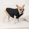 Waterproof Dog Coat Winter Fleece Jacket For Small Pets 4