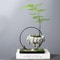 Creative Bamboo Succulent Pot With Floating Island Bonsai Design 0