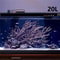 Smart Desktop Fish Tank With Remote Feeding And LED Lighting 0