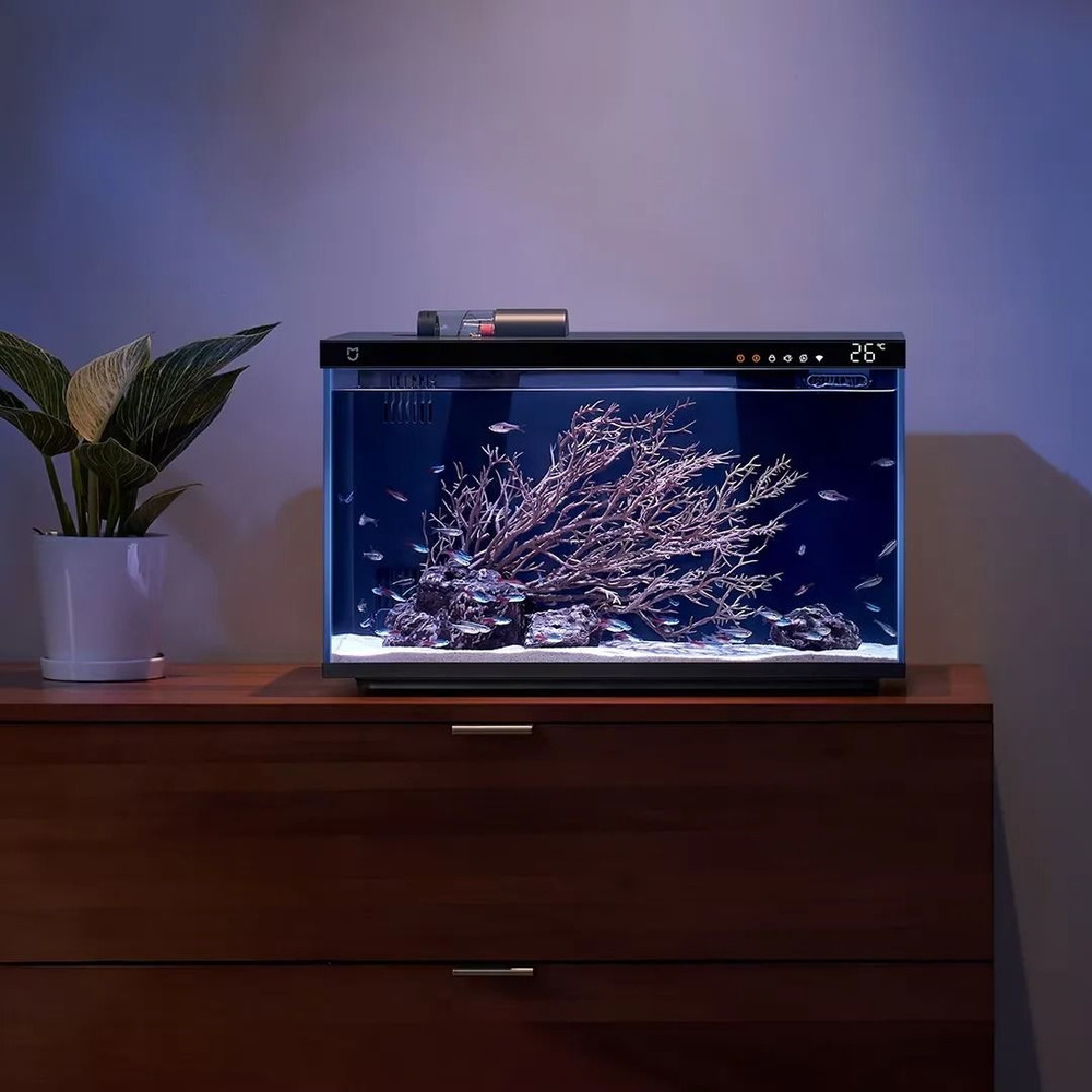 Smart Fish Tank With Remote Control Feeding And Lighting System 4