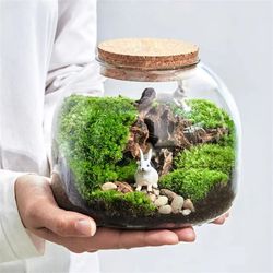 micro landscape moss glass terrarium with optional cork lid