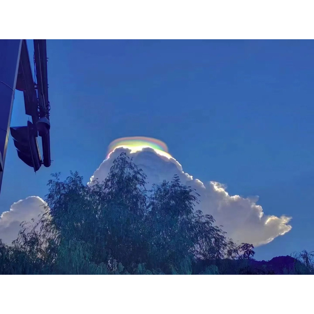 Mini Cryolipolysis Fat Freezing Body Slimmer 5