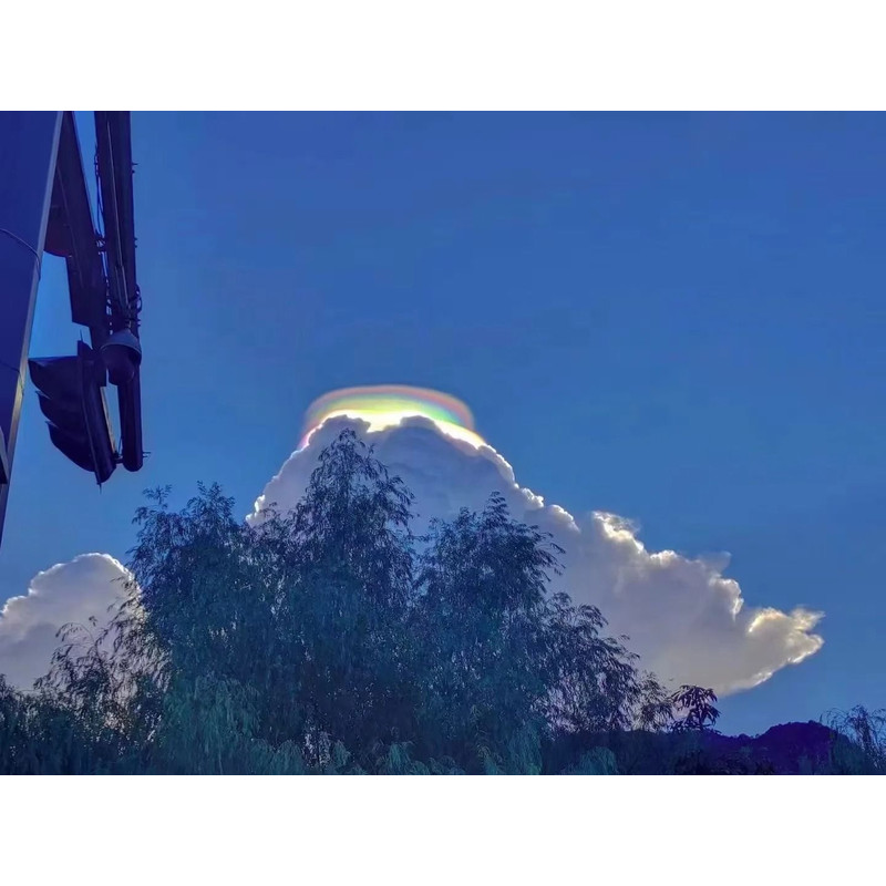 Mini Cryolipolysis Fat Freezing Body Slimmer 5