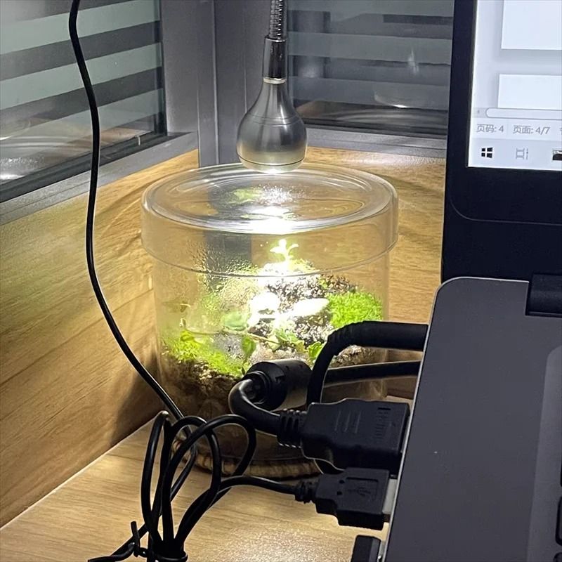 Glass Terrarium Moss Bottle With Lid 5