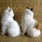 Realistic Plush Cat Toy For Kids And Home Decoration 1