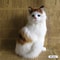 Realistic Plush Cat Toy For Kids And Home Decoration 6