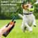 Long Range Electric Dog Training Collar With Waterproof Control 0