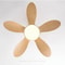 Modern LED Ceiling Fan With Remote Control 4