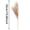 Artificial Pampas Grass Bunches For Home And Event Decor 1