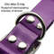 Waterproof Nylon Dog Collar With Adjustable Fit 1