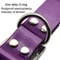 Waterproof Nylon Dog Collar With Adjustable Fit 1