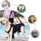 Dog Lift Support Harness For Injured Or Elderly Dogs 0