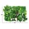 Artificial Green Wall Panel For Home And Garden Decoration 13