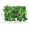 Artificial Green Wall Panel For Home And Garden Decoration 13