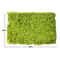 Artificial Green Wall Panel For Home And Garden Decoration 8