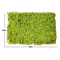 Artificial Green Wall Panel For Home And Garden Decoration 8