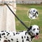Reflective Shock Absorbing Dog Leash With Car Seat Belt Clip 3