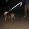 Adjustable Reflective Pet Harness And Leash Set 1