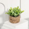 Artificial Eucalyptus Grass Potted Plant 7