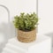 Artificial Eucalyptus Grass Potted Plant 8