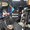 Pet Car Safety Restraint For Dogs Cats 5