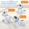 Programmable RC Robot Stunt Dog Toy 4