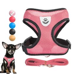 adjustable dog harness and leash set for small dogs and cats