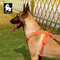 Adjustable Reflective No Pull Dog Harness For Safe Walking 5