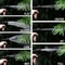 Expandable High Pressure Car Wash Hose With Multi Function Spray Nozzle 5
