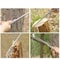 Wood Handle Garden Handsaw With SK5 Steel Blade 5