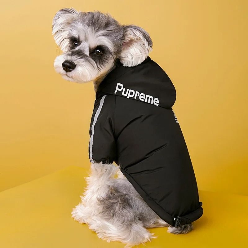 Waterproof Reflective Dog Coat For Winter Warmth And Comfort 4