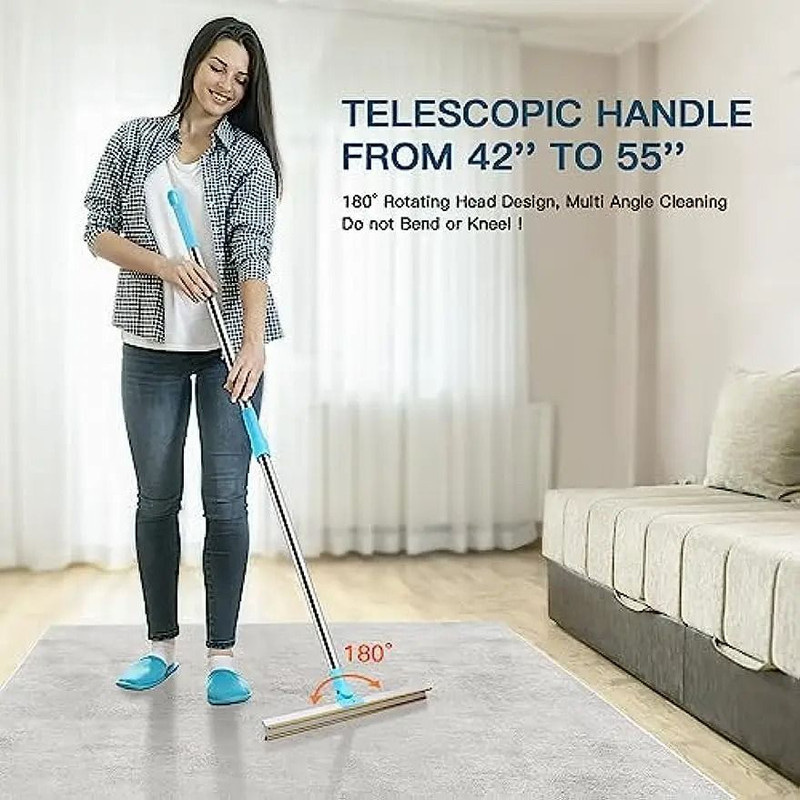 Telescopic Carpet Rake And Pet Hair Remover Set 1