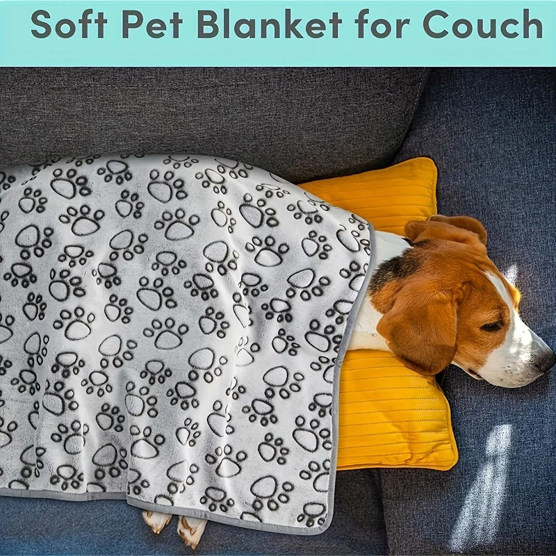 Soft Plush Pet Blanket With Cartoon Design 2