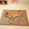 Plush Foam Pet Bed With Washable Cover 1