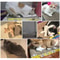 Cozy Corrugated Cardboard Cat Scratch Board 5