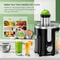 Compact Centrifugal Juicer With Automatic Pulp Ejection For Fresh Juices 5