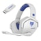 Dual Wireless Gaming Headset With Microphone For PS5 PC Mobile And Switch 14