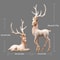 Luxury Resin Deer Statue For Modern Home Decoration 1