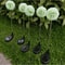 Solar LED Dandelion Garden Light For Outdoor Decoration 4