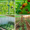 Garden Climbing Net For Vegetables And Fruits 1
