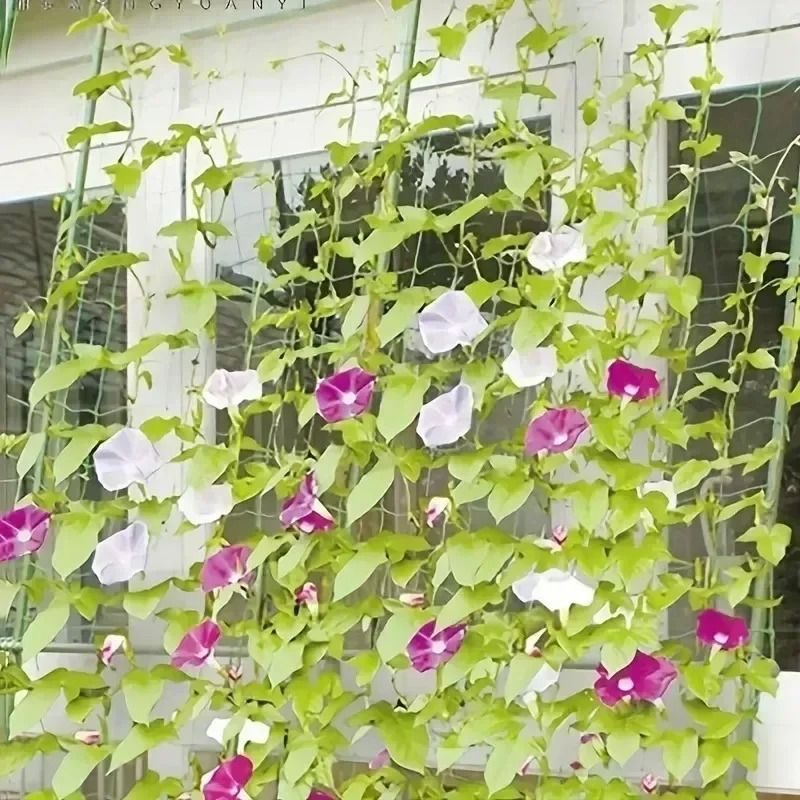 Garden Climbing Net For Vegetables And Fruits 2