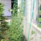Garden Climbing Net For Vegetables And Fruits 3