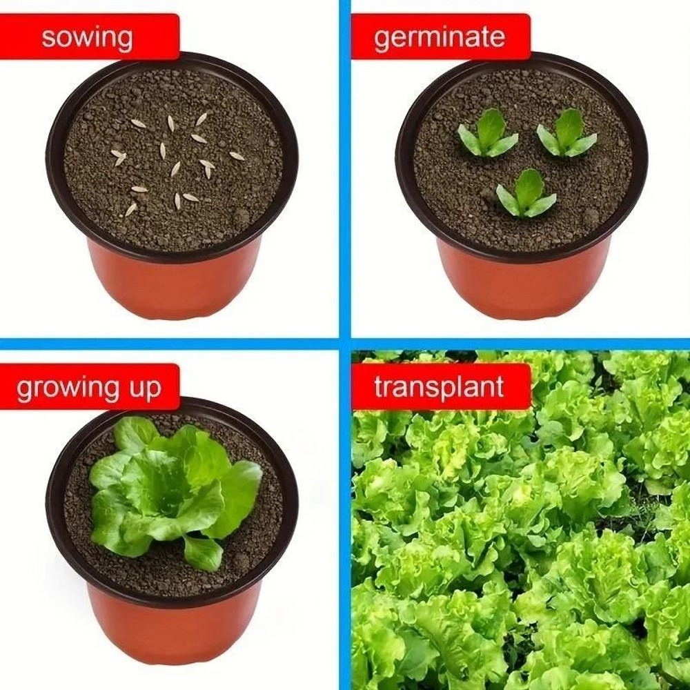 Plastic Plant Nursery Pots 4 Inch 10 Piece Set 2